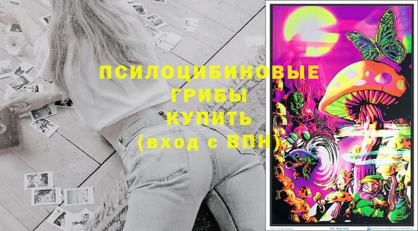 амф Бородино