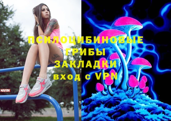 амф Бородино