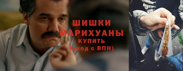 амф Бородино