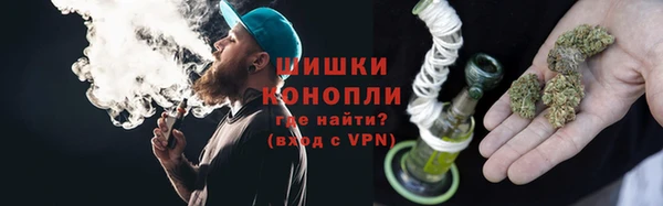 амф Бородино