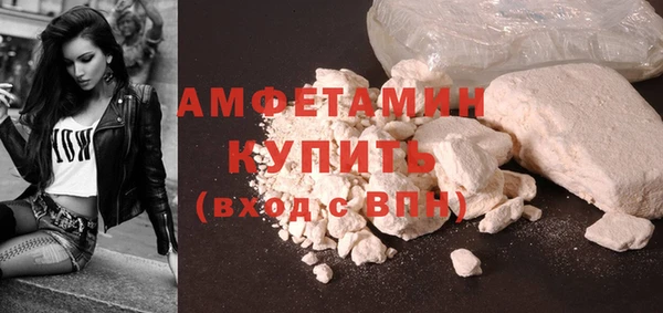амф Бородино