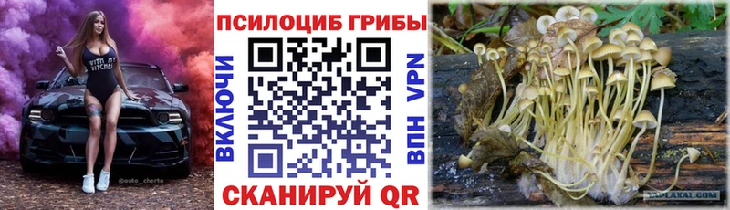 наркота  Белгород  Галлюциногенные грибы прущие грибы 