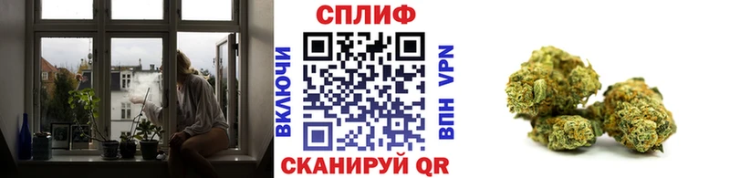 Марихуана конопля  Белгород 
